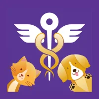 Safety Check Ins, Paws QuiVive